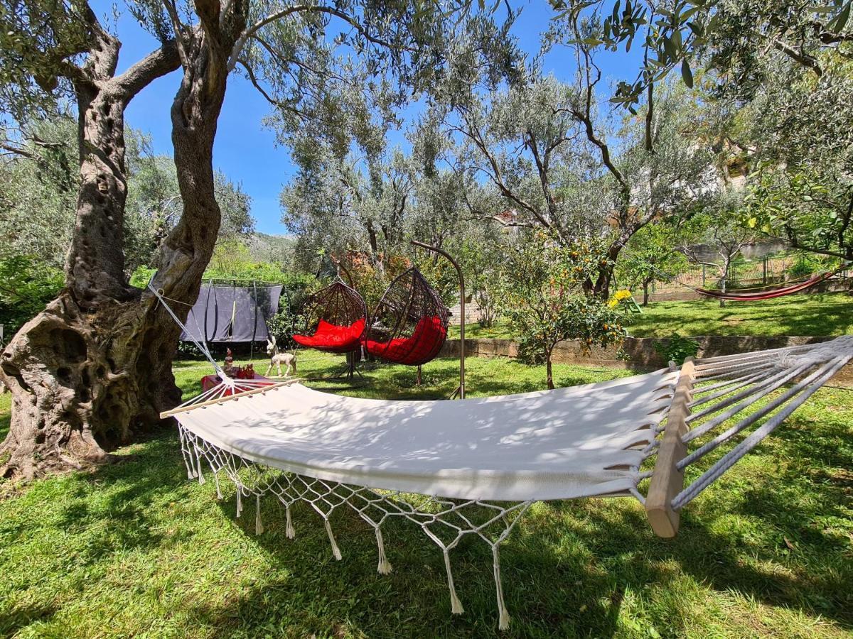 Olive Garden Apartment Petrovac Екстериор снимка