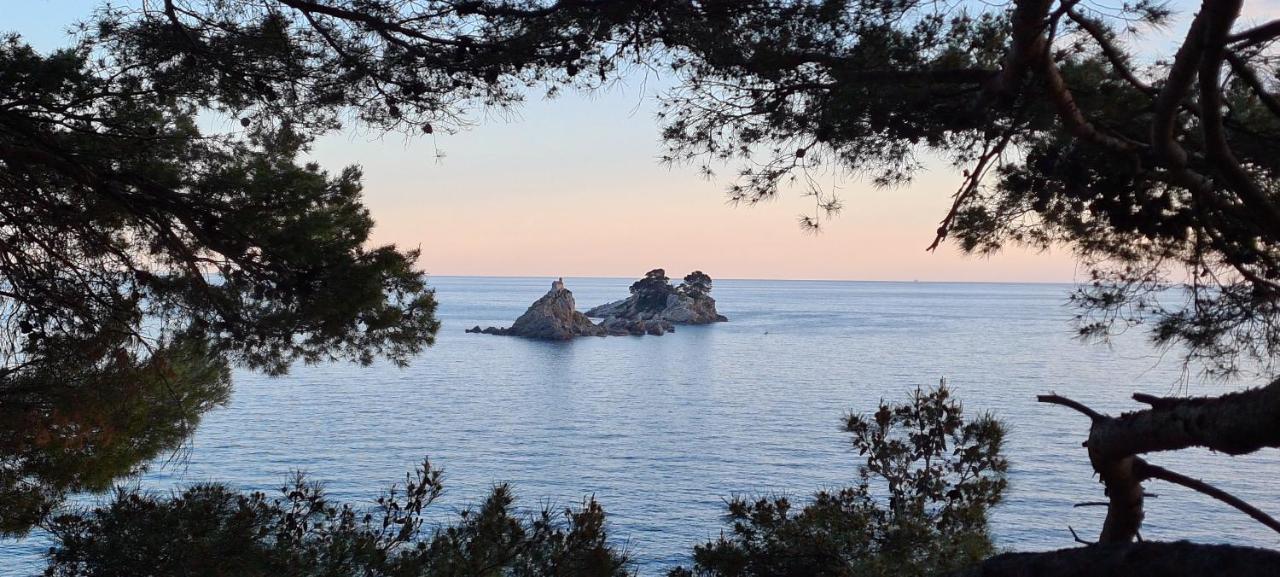 Olive Garden Apartment Petrovac Екстериор снимка