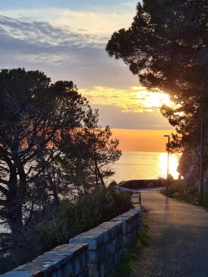 Olive Garden Apartment Petrovac Екстериор снимка