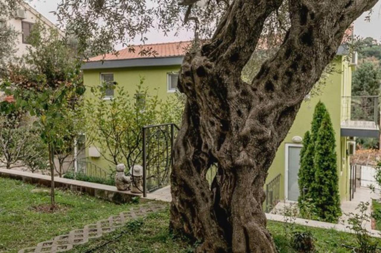 Olive Garden Apartment Petrovac Екстериор снимка